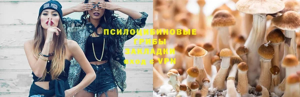 трава Кодинск
