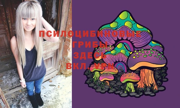 трава Кодинск