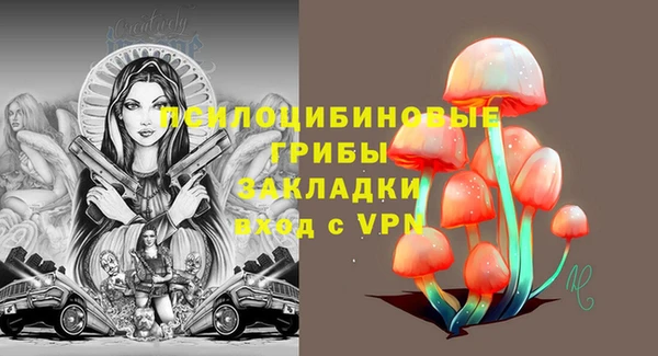 амфетамин Козловка
