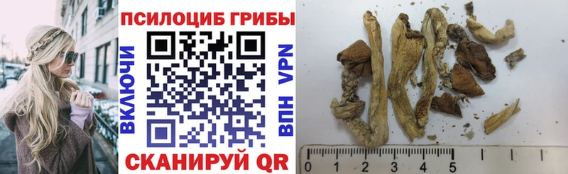 Галлюциногенные грибы мухоморы  Сурск 